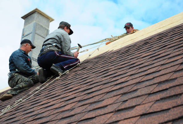 Roof Installation Near Me in Phoenix, IL